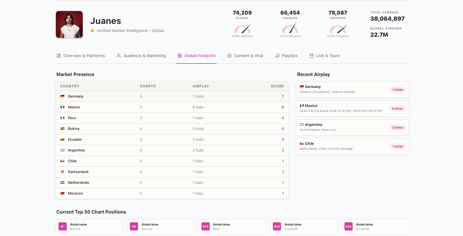 Detailed Artist Profile Audience Demographics