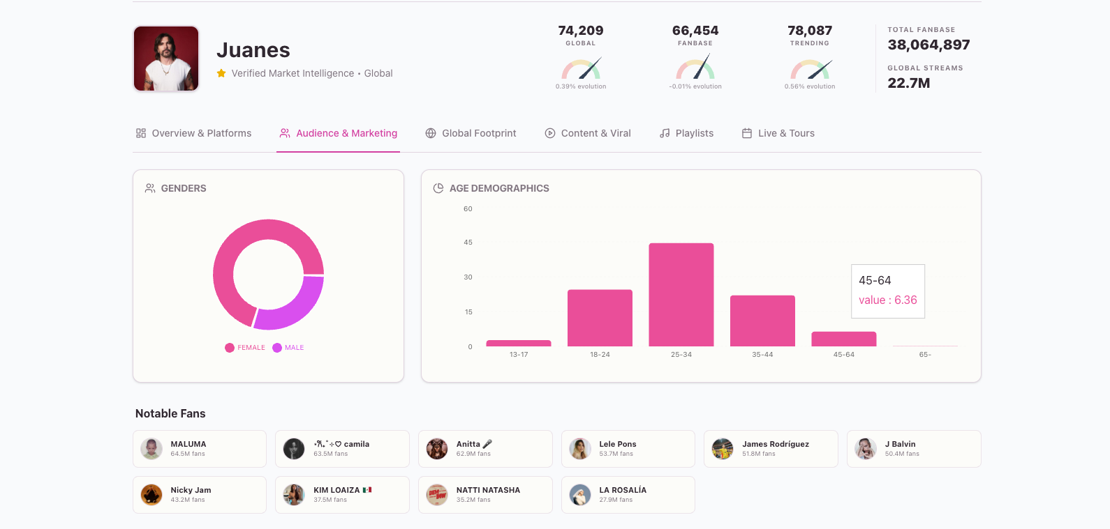 Detailed Artist Profile Global Footprint and Airplay